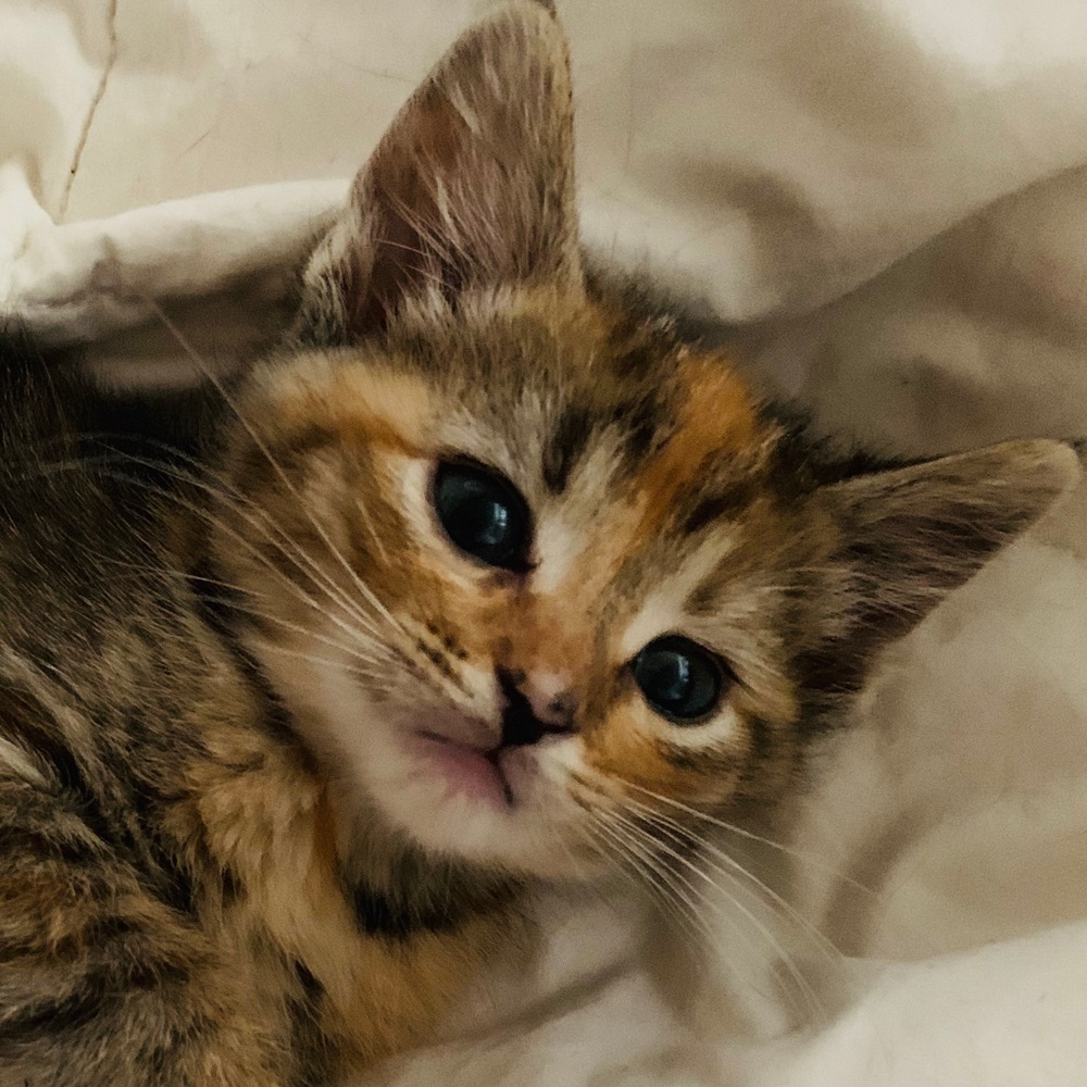 Meet your Posher, Melanie